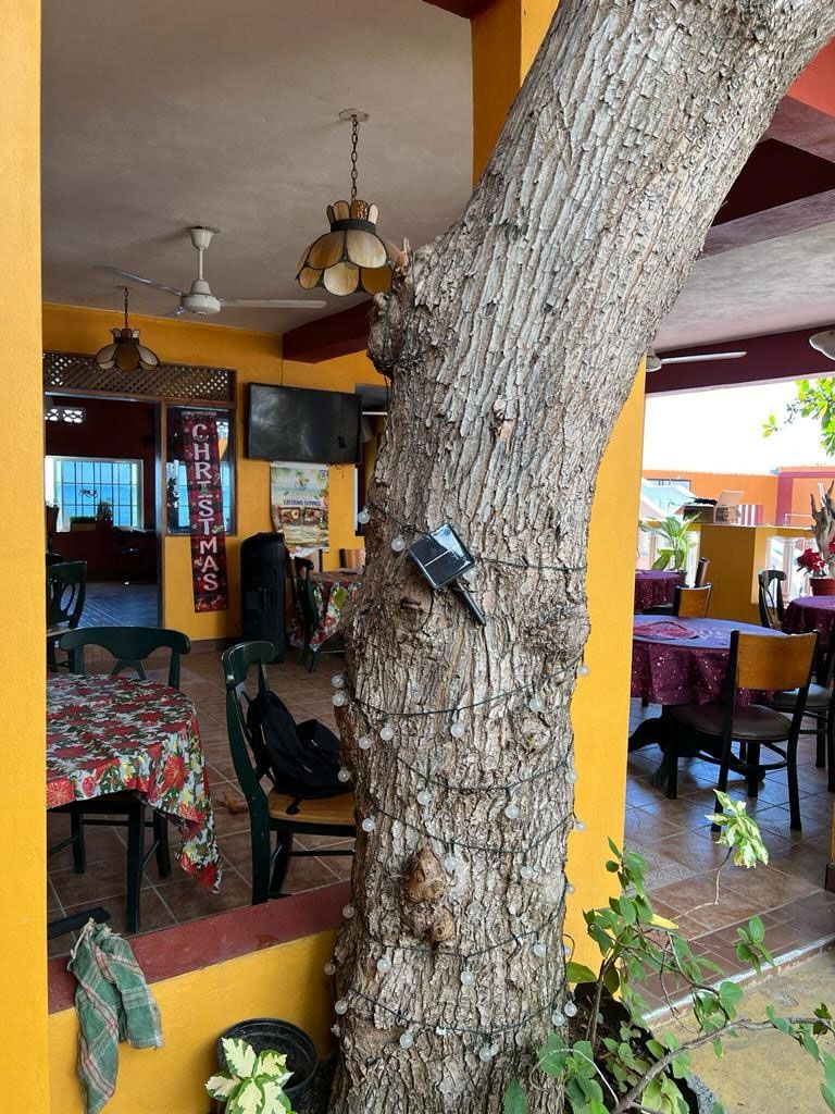 catering service Portmore